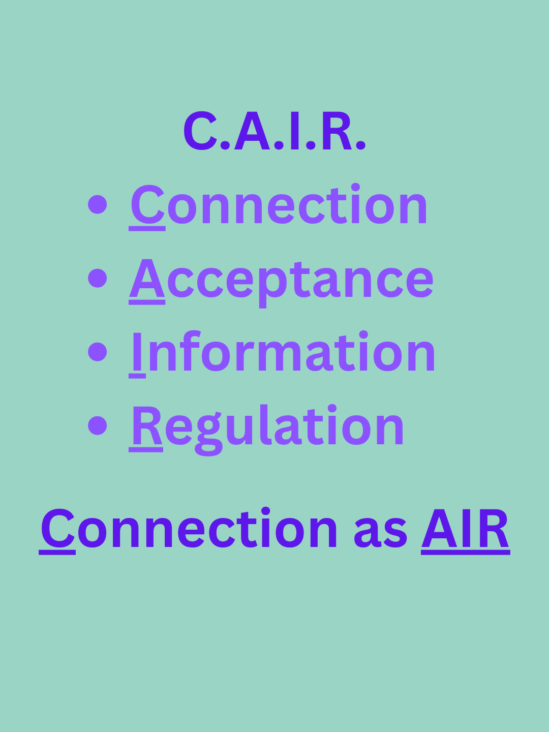 C.A.I.R Connection Acceptance Information Regulation Connection as AIR (2).png