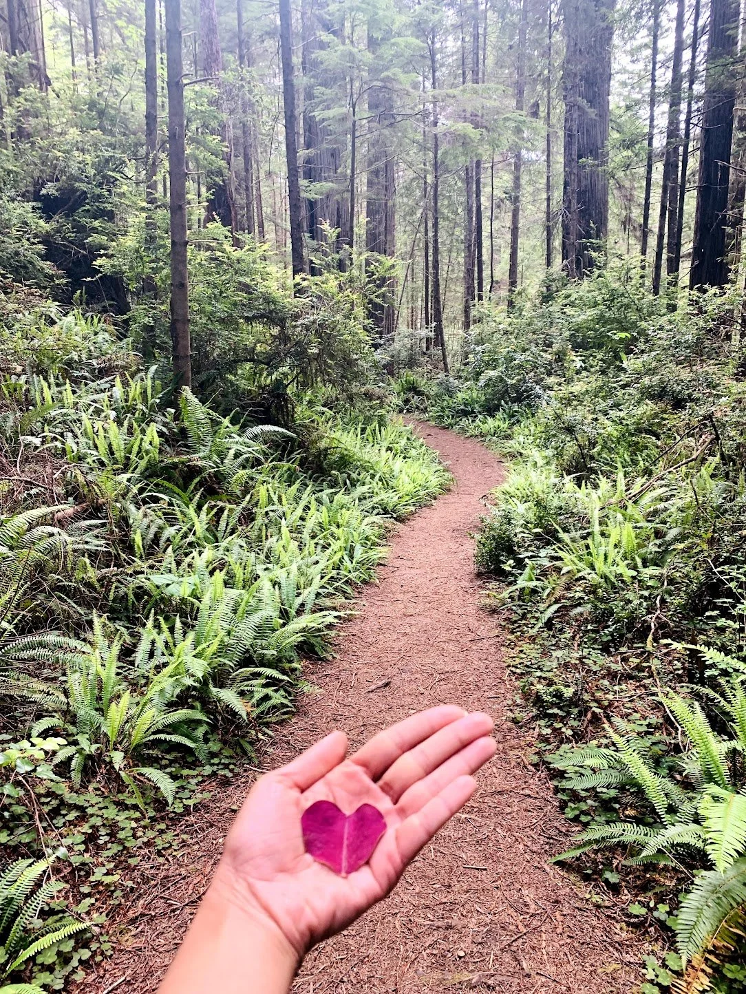 Grief, Loss, and the Metamorphosis of Love