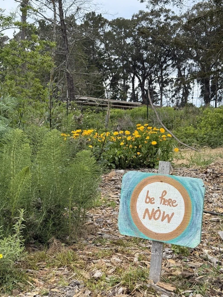 Breathe, Bloom &amp; Be