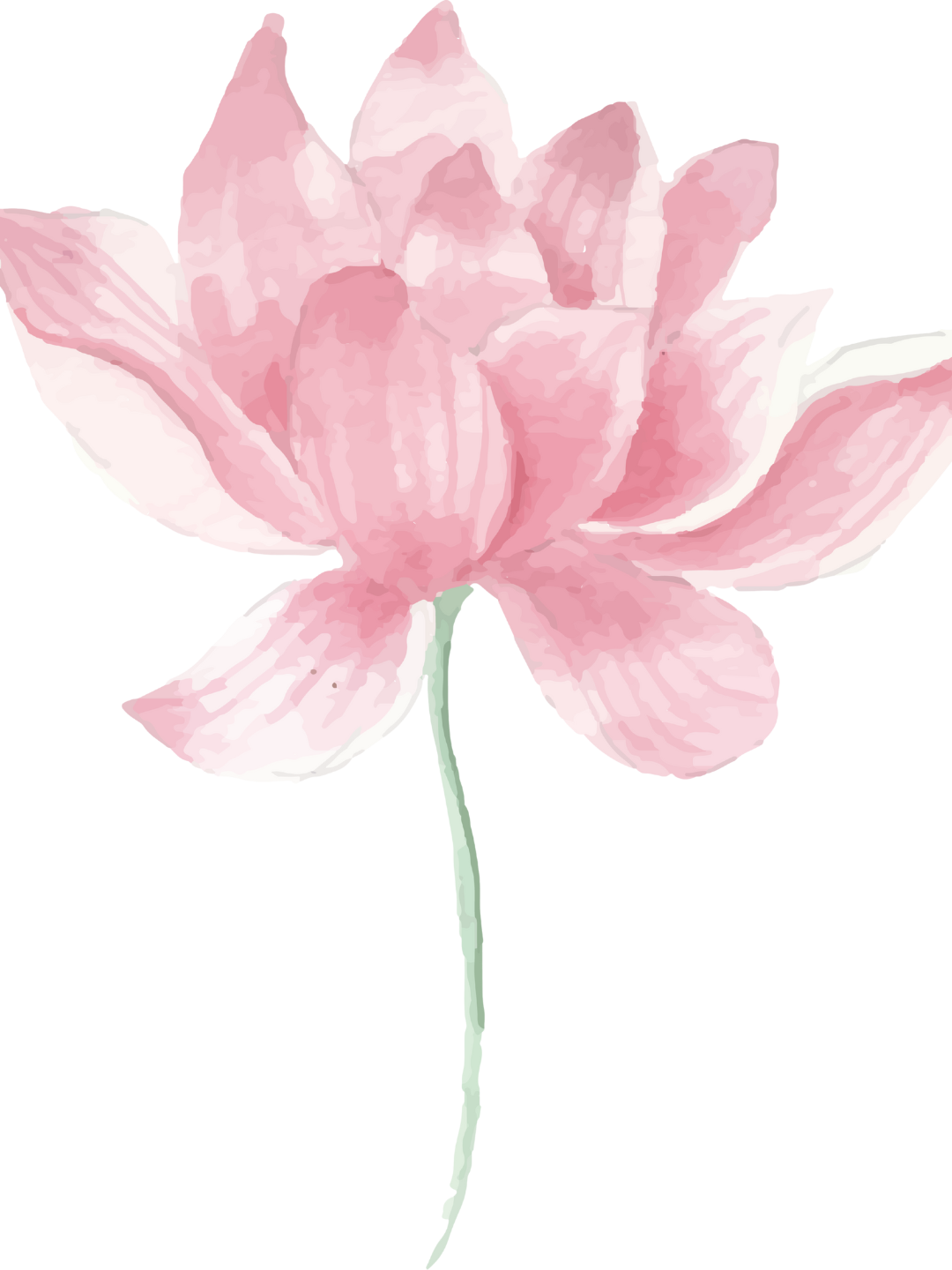 The Yoga of Allowing Life: Philosophy, Reflection &amp; Deep Rest Asana Practice