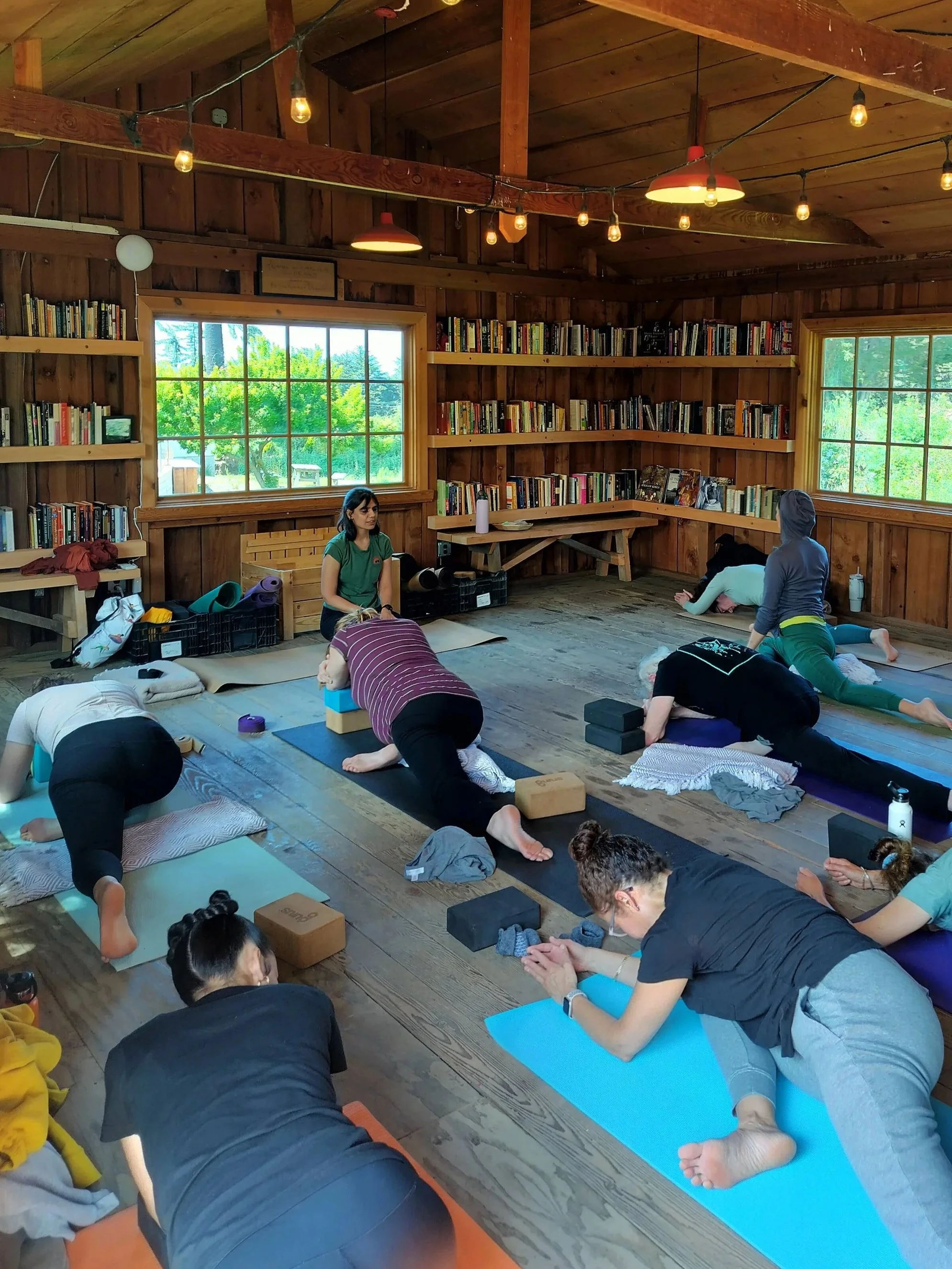 Indoor yoga class with multiple participants practicing on yoga mats, with a bookshelf-lined wooden wall, windows showing greenery outside, and string lights on the ceiling.