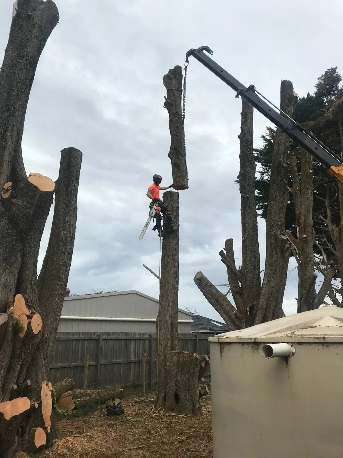 A worker wearing safety gear cutting down a tree with a chainsaw while being lifted by a crane in a backyard.