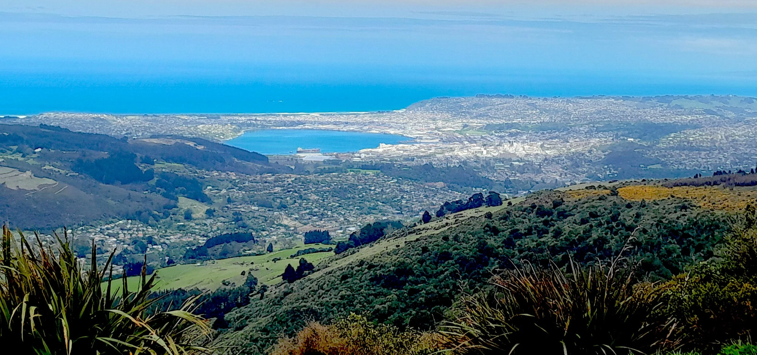 Scenic view of rolling green hills, a city with a large body of water in the background, and the ocean beyond.