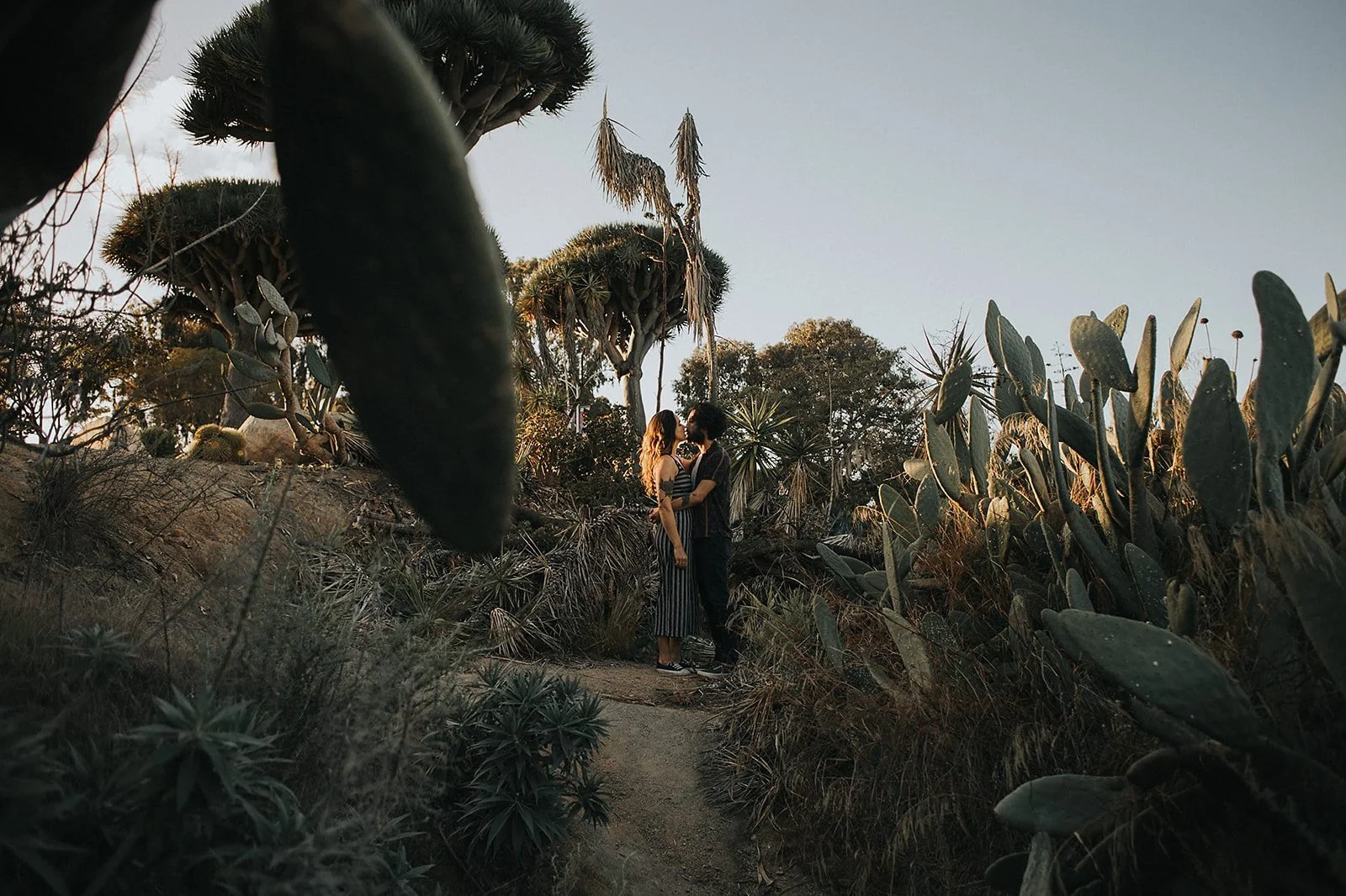 A couple standing close together in a desert-like area with cacti and succulents, about to kiss at sunset.