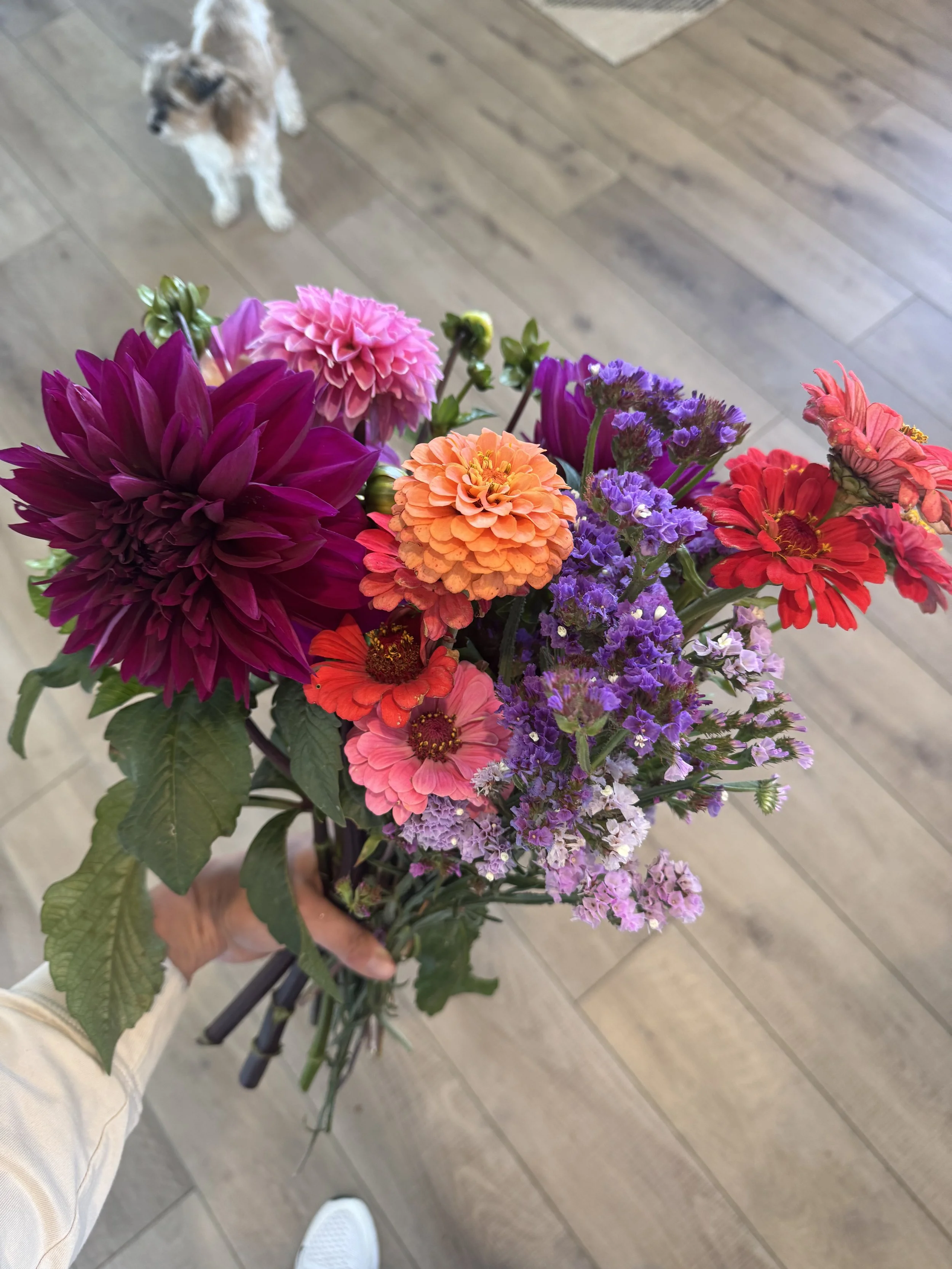 Lessons in the Frost: Finding Wellness in Every Season