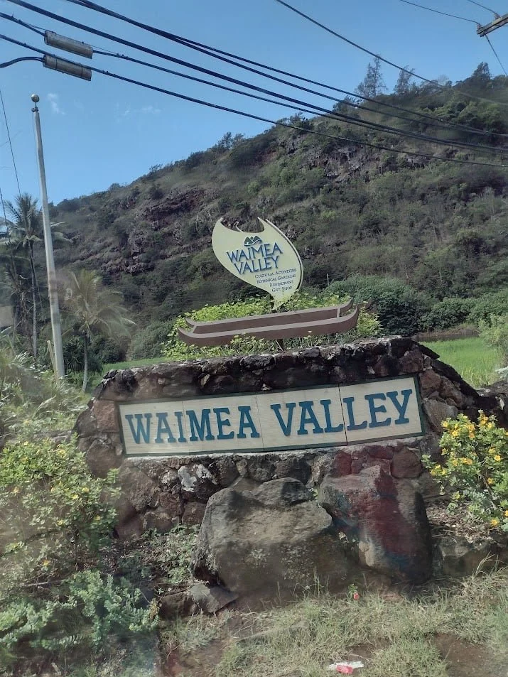 7ecad836-9867-4e47-ae9c-bec2210283a8 (1).jpg