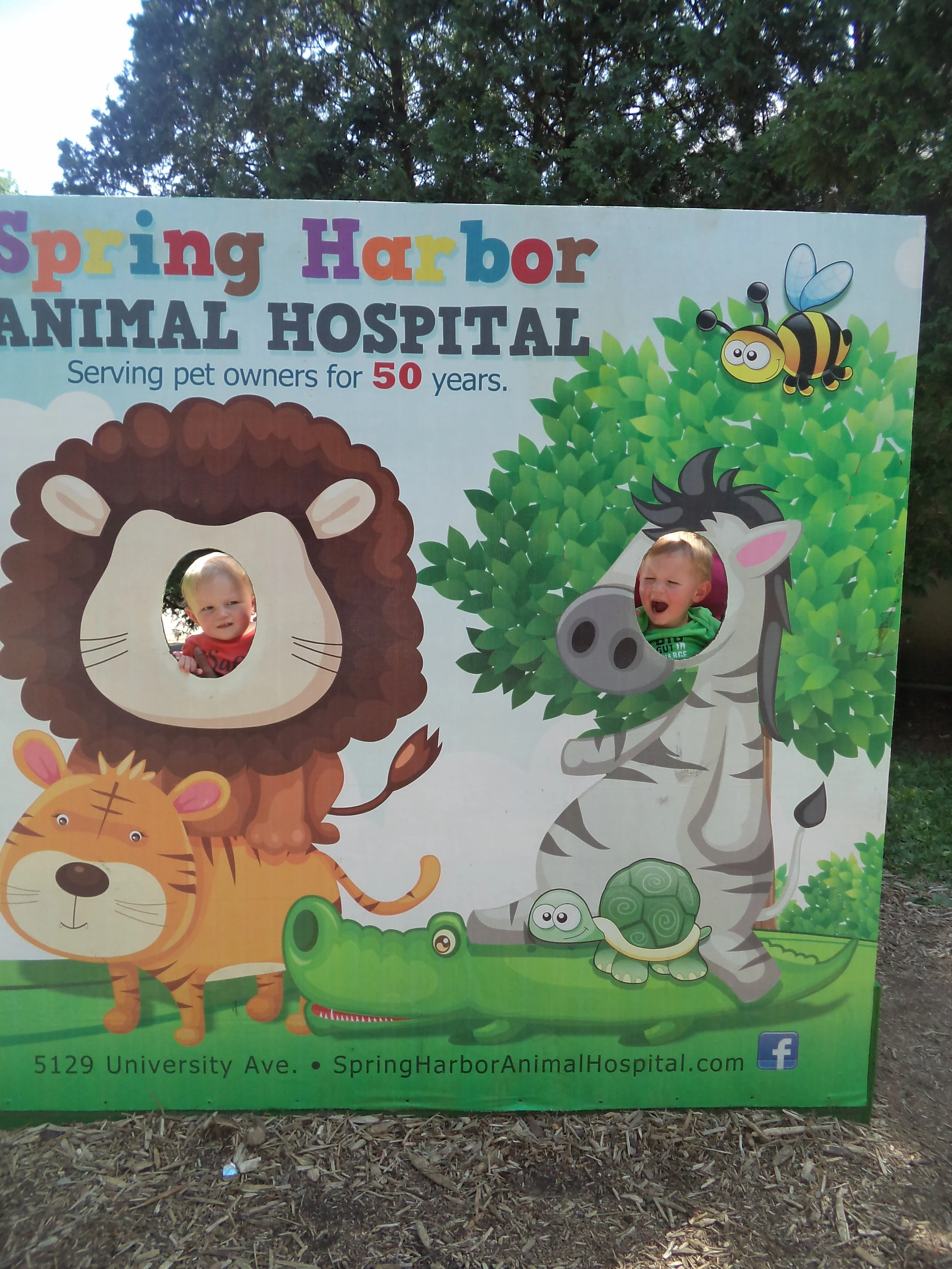 Henry Vilas Zoo in Madison