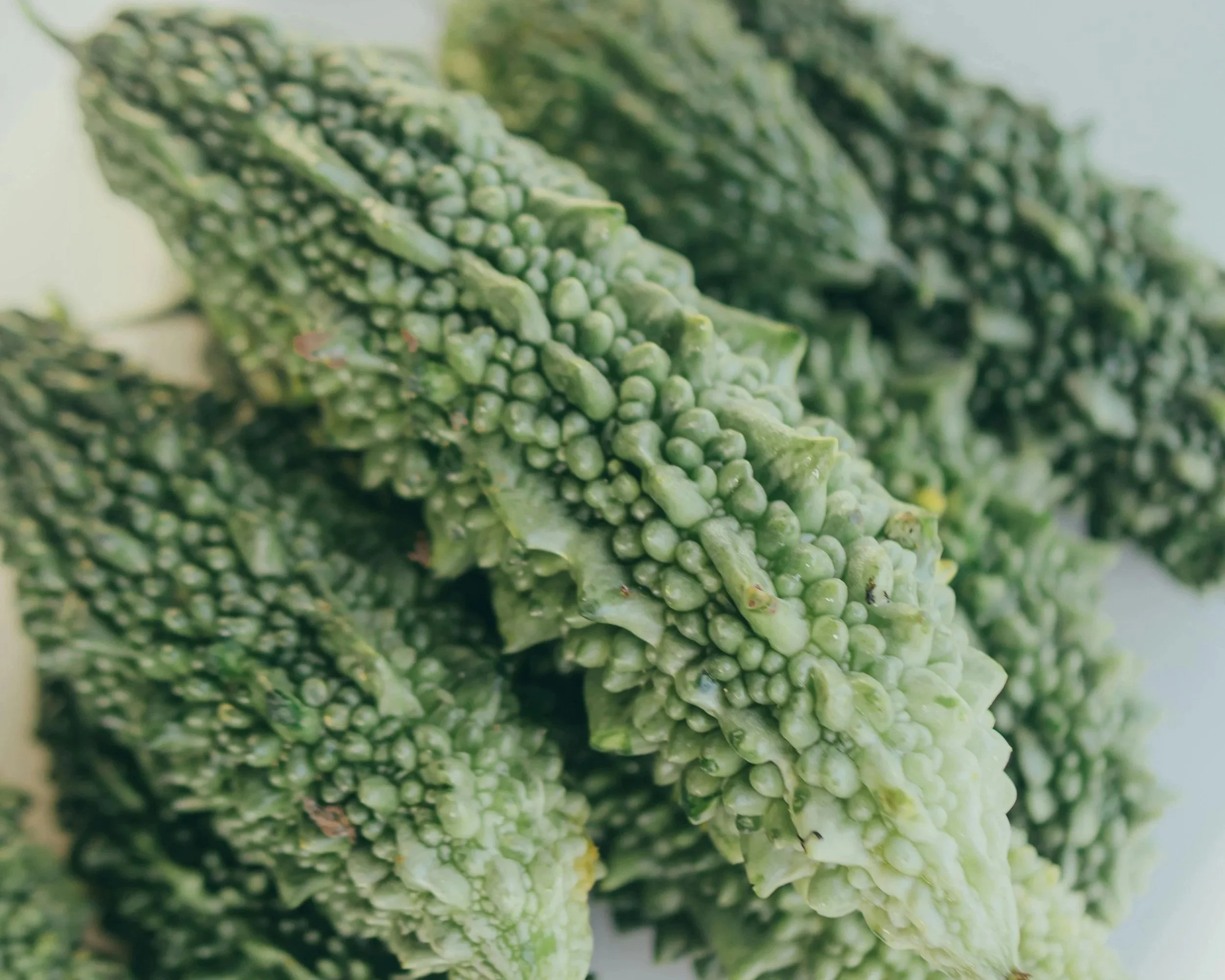 The benefits of bitter melon for your health