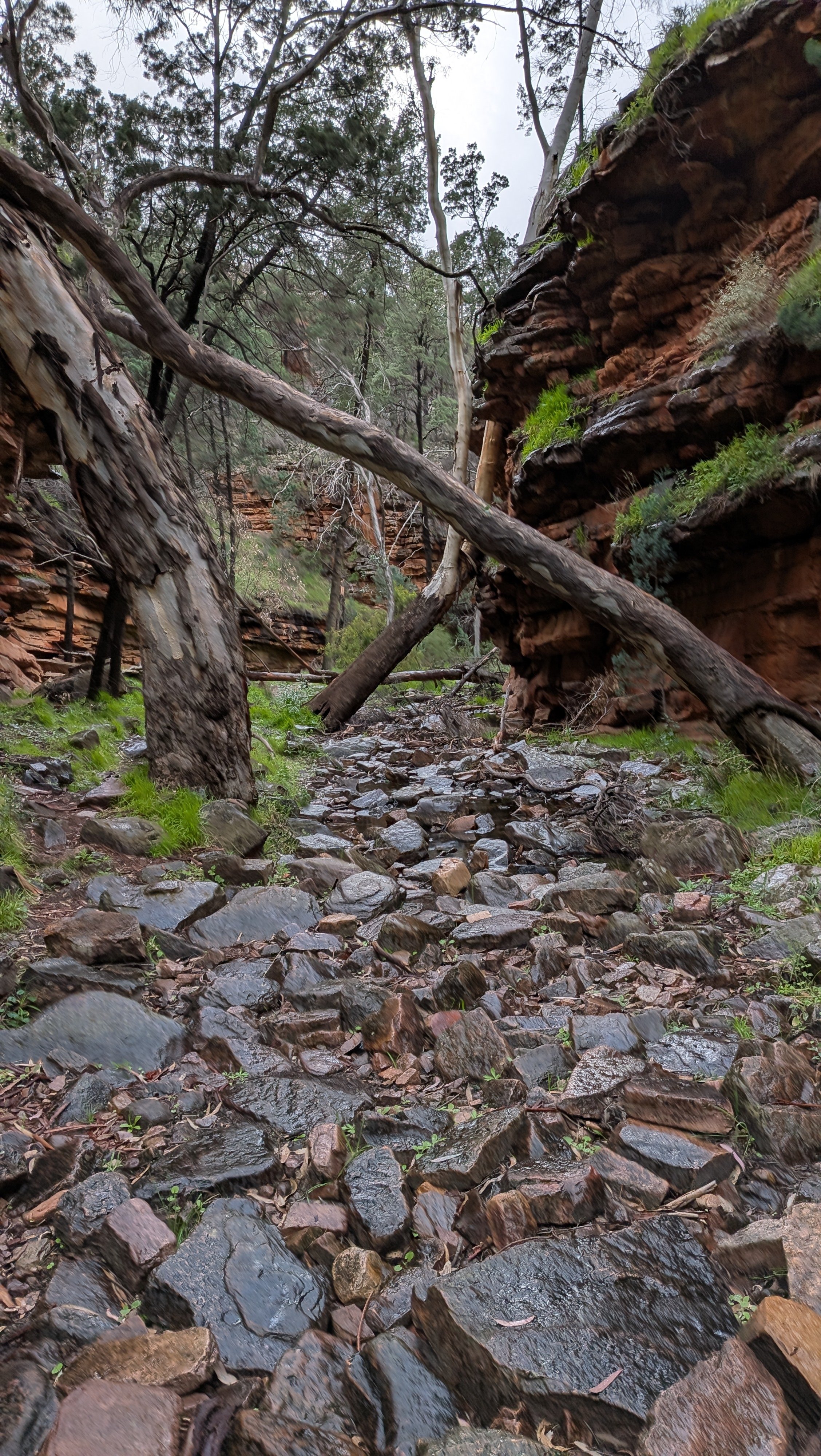 Day 8 Adelaide to Melrose 30 May 2026