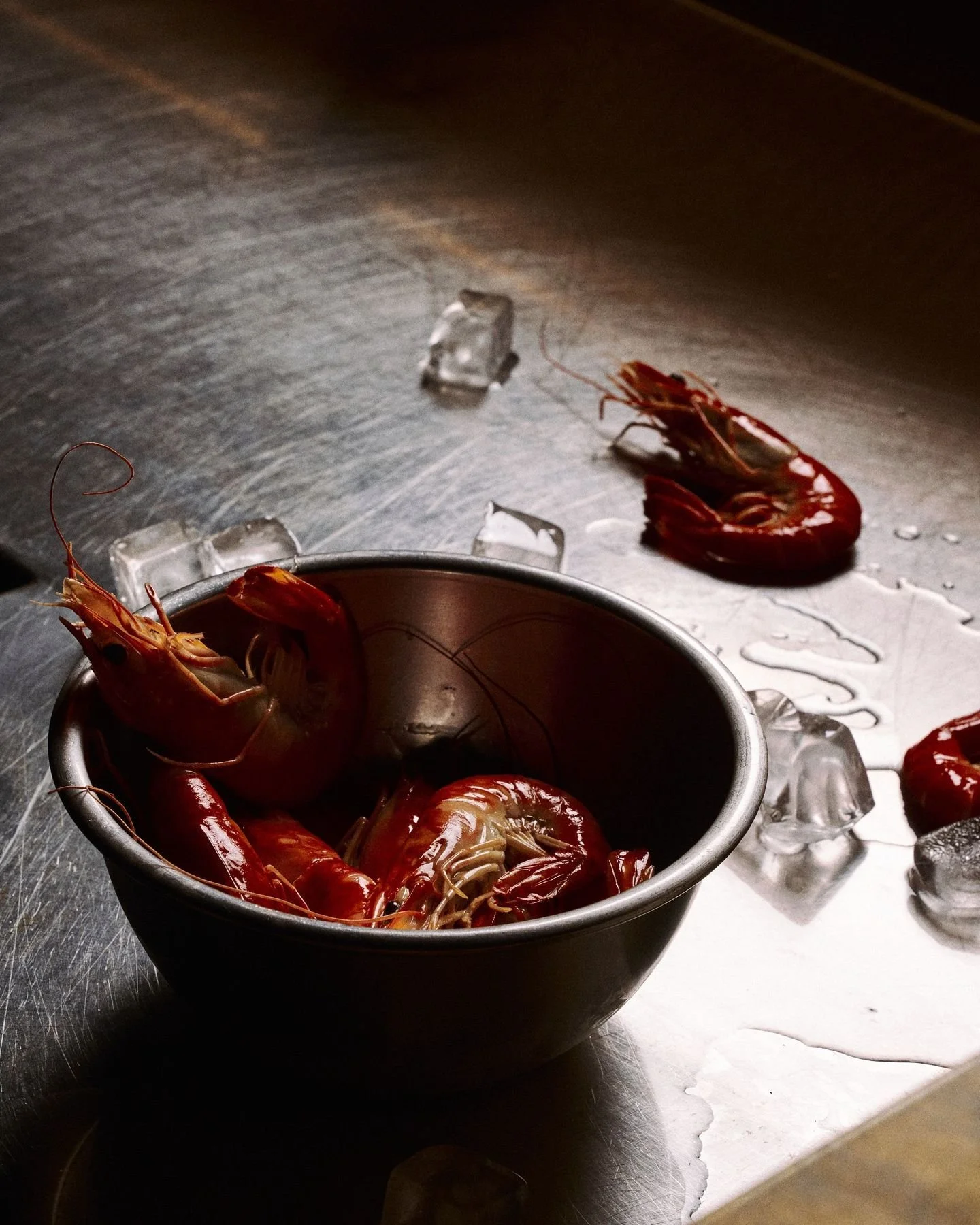 FROM OCEAN TO TABLE

Straight from the sea, each ingredient is at the peak of freshness. Vibrant, tender, and full of flavour.

Carefully selected and thoughtfully prepared, every dish captures the essence of the ocean, transforming every bite into a