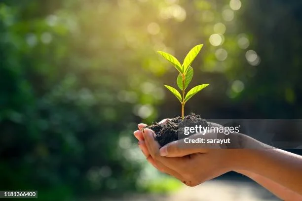 gettyimages-1181366400-612x612.jpg