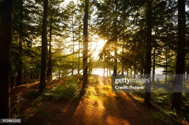 gettyimages-953465202-612x612.jpg