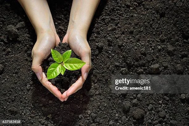 gettyimages-637583458-612x612.jpg