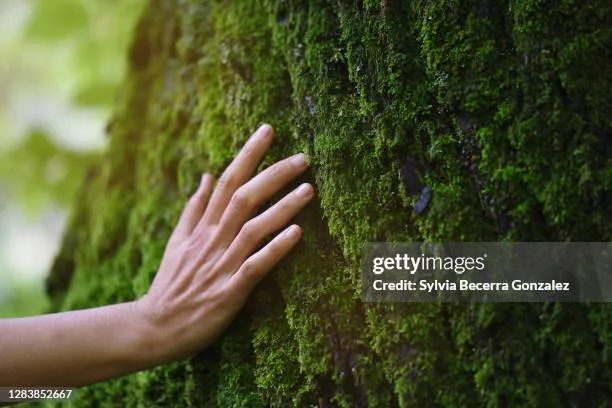 gettyimages-1283852667-612x612.jpg