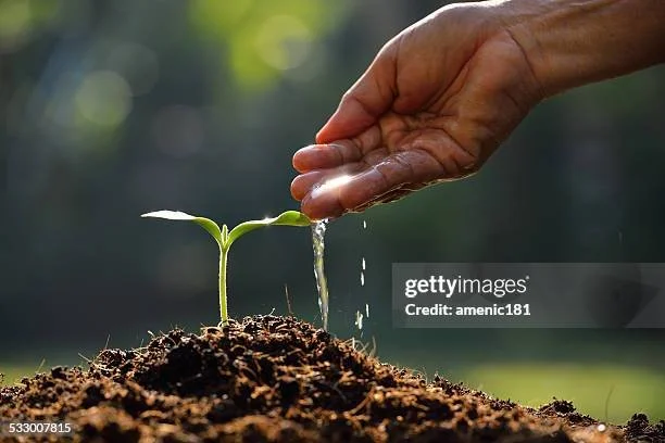 gettyimages-533007815-612x612.jpg