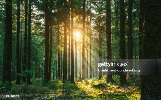 gettyimages-1419410282-612x612.jpg