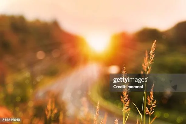 gettyimages-615619640-612x612.jpg