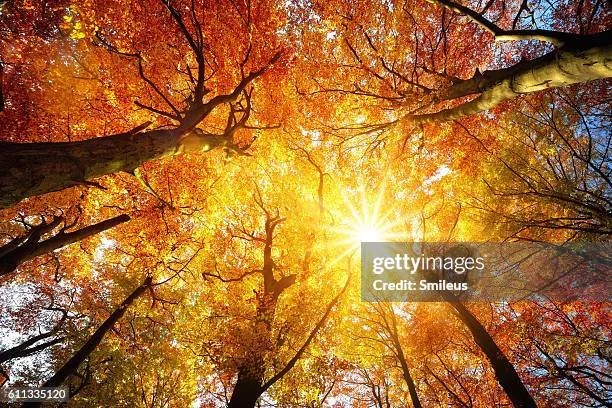 gettyimages-611335120-612x612.jpg