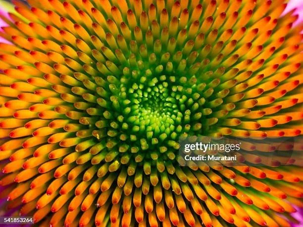 gettyimages-541853264-612x612.jpg