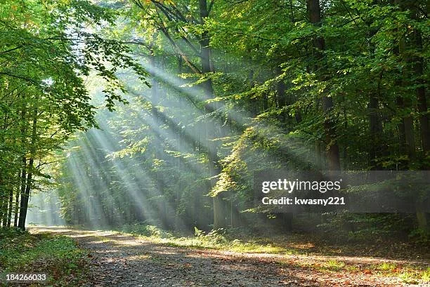 gettyimages-184266033-612x612.jpg