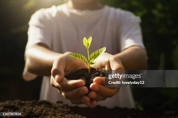 gettyimages-1167387834-612x612.jpg