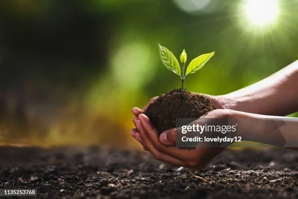 gettyimages-1135253768-612x612.jpg