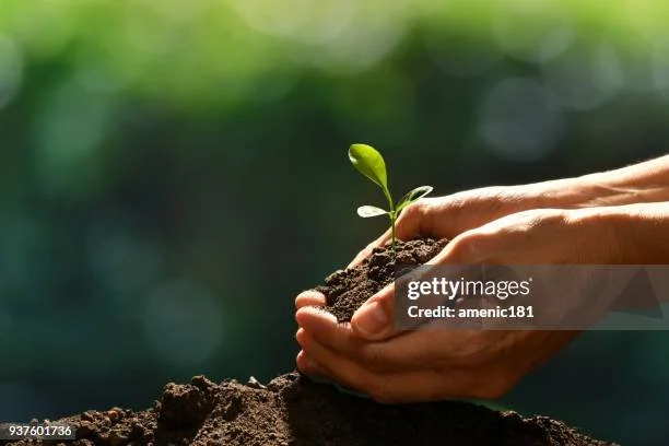gettyimages-937601736-612x612.jpg