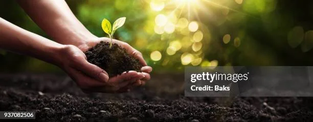 gettyimages-937082506-612x612.jpg