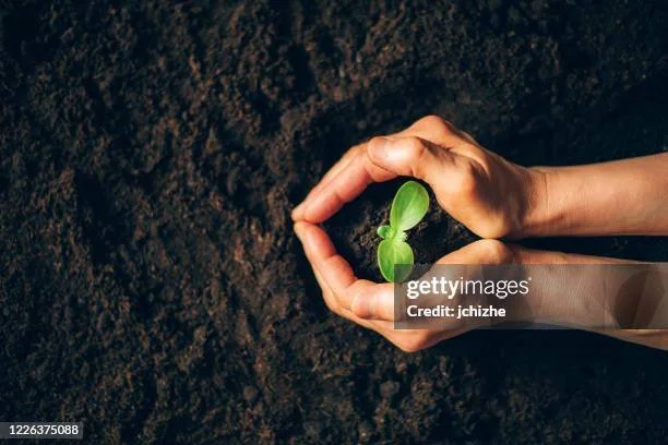 gettyimages-1226375088-612x612.jpg