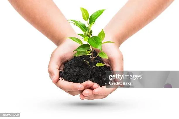 gettyimages-483973998-612x612.jpg