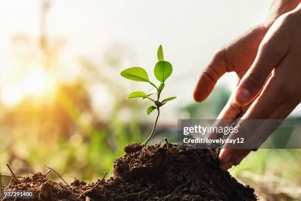 gettyimages-937291400-612x612.jpg