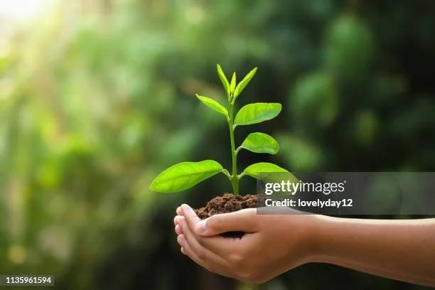 gettyimages-1135961594-612x612.jpg
