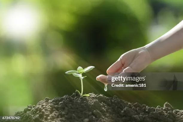 gettyimages-673478742-612x612.jpg
