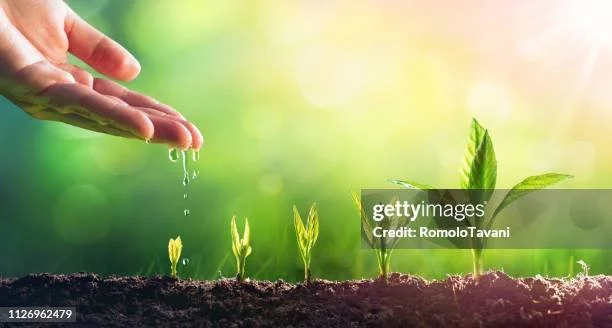 gettyimages-1126962479-612x612.jpg
