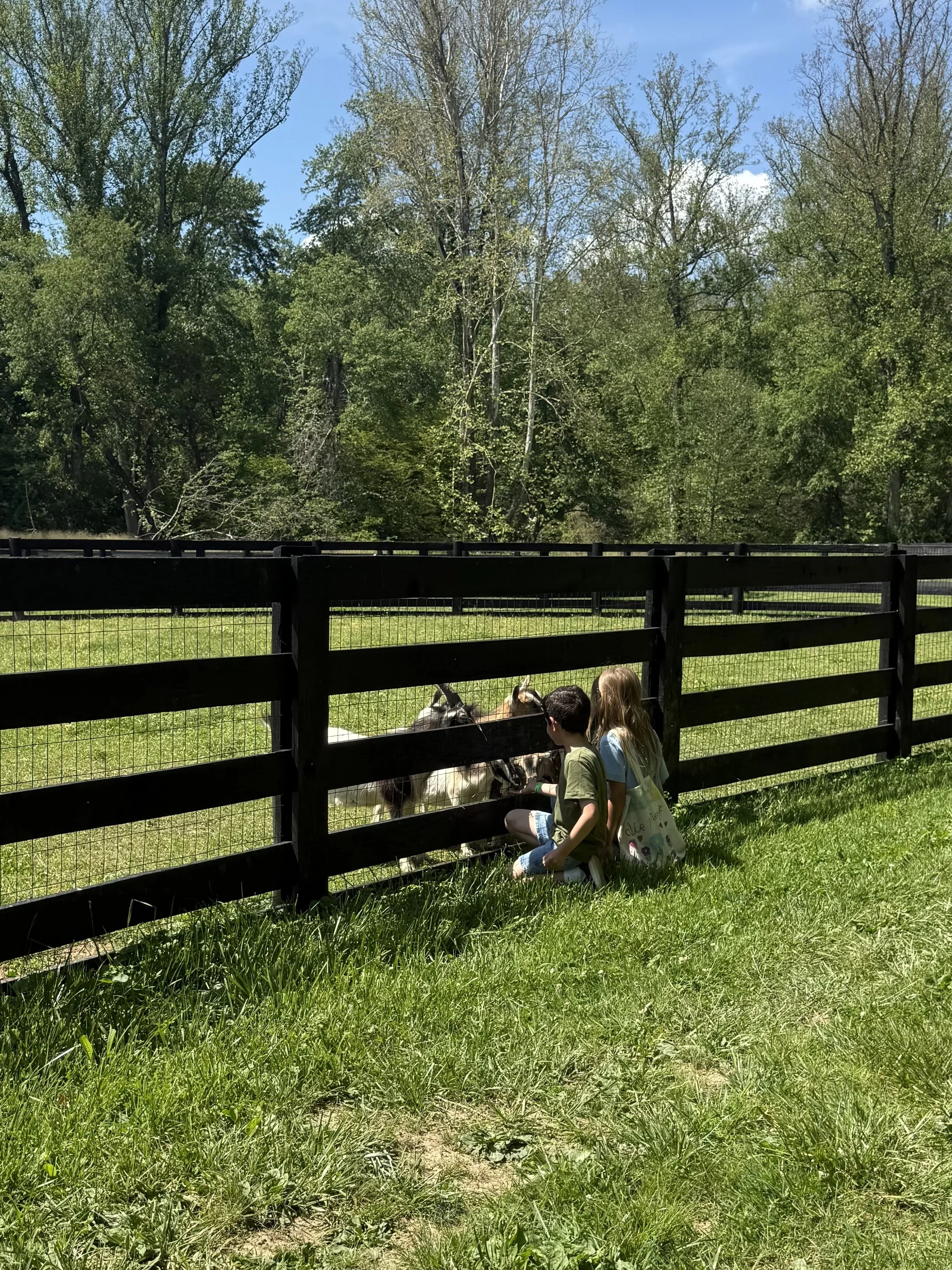 IMG_6072.jpeg