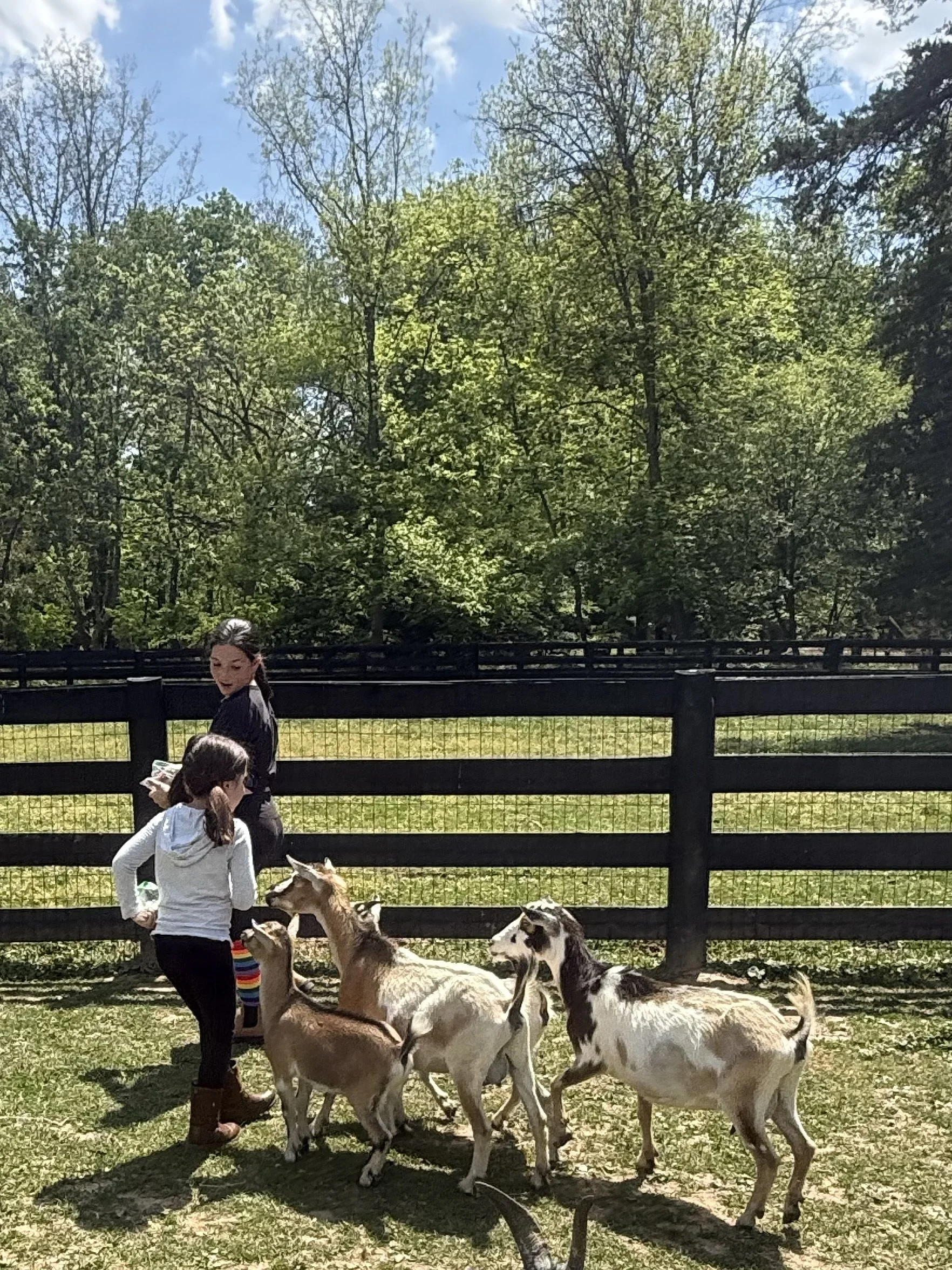 IMG_5977.jpeg