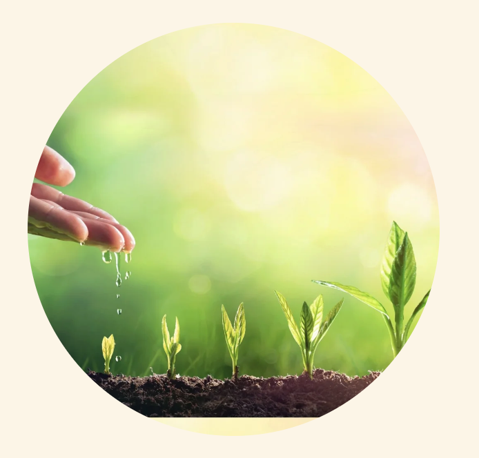 Package of 5 Sessions