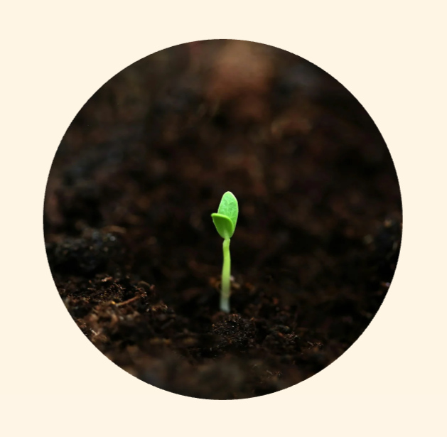 Kids Alignment Starter Package