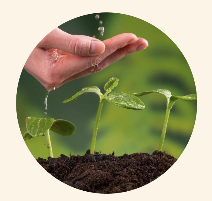 Package of 3 Sessions