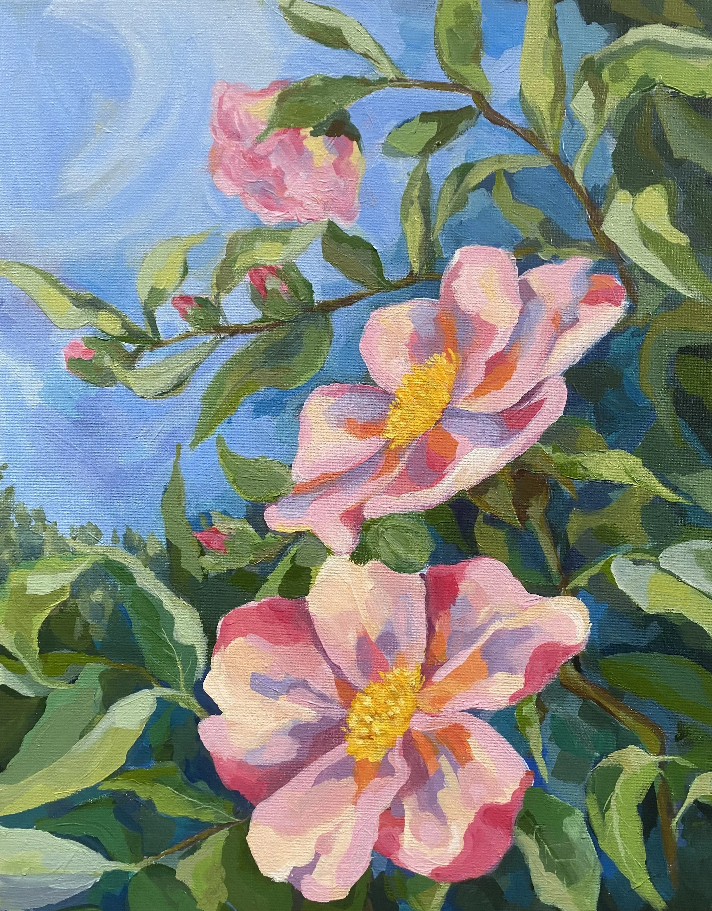 Rose flower