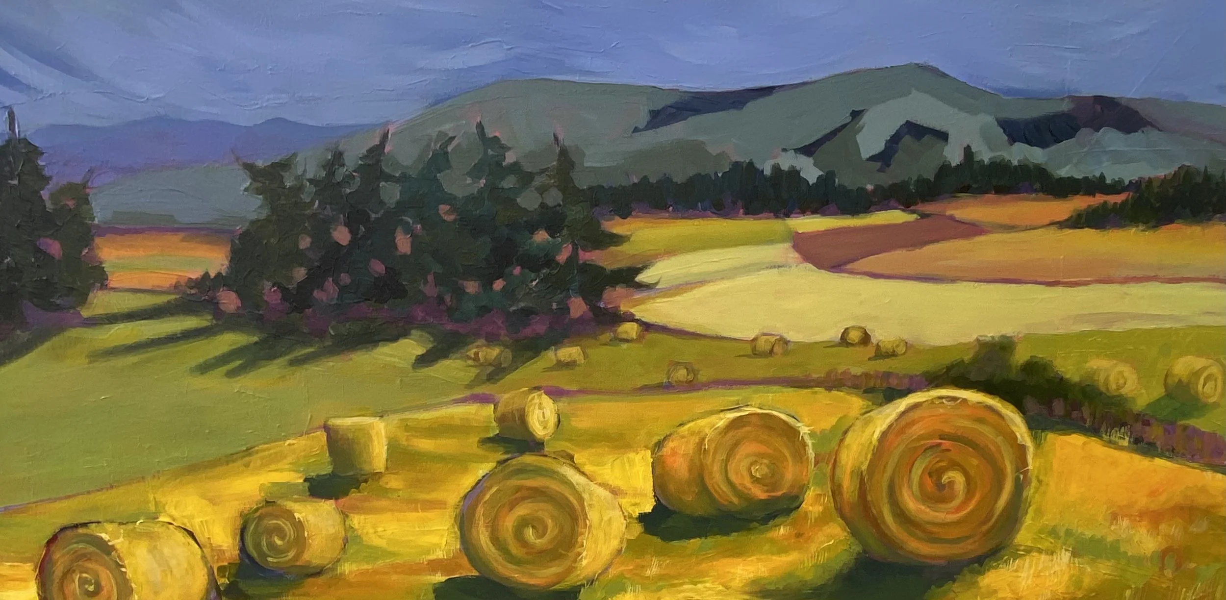 Hay fields
