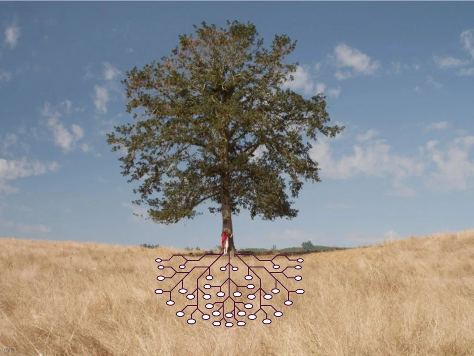 A large tree with a circuit board pattern overlay showing roots beneath it, set in a grassy field with a blue sky and clouds.
