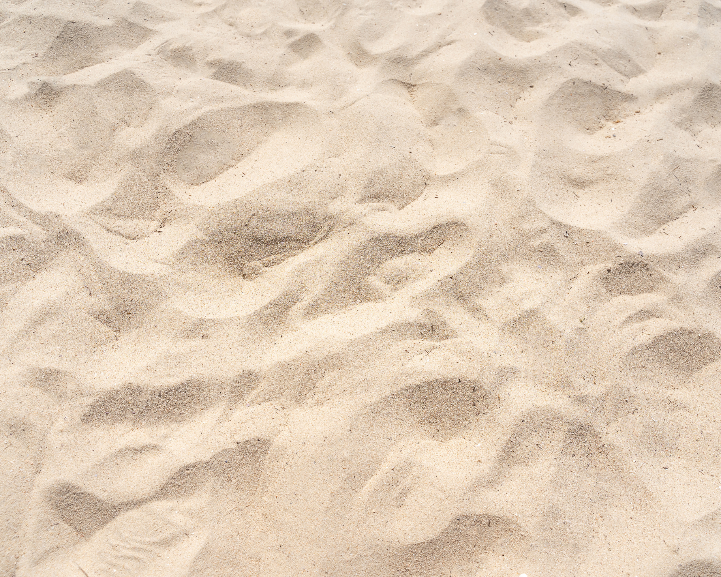 Sand with multiple footprints.