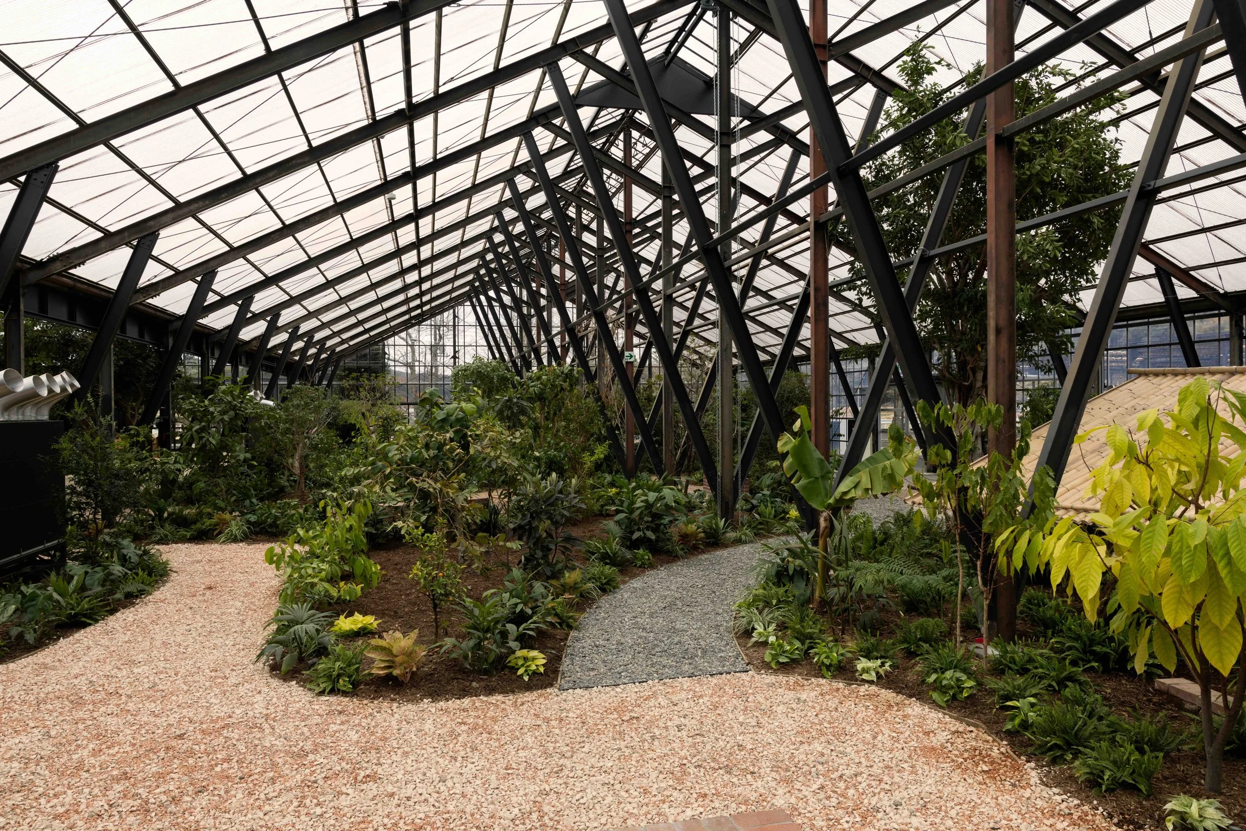 植物を、暮らしへ。千葉・大多喜に「大多喜有用植物苑」誕生