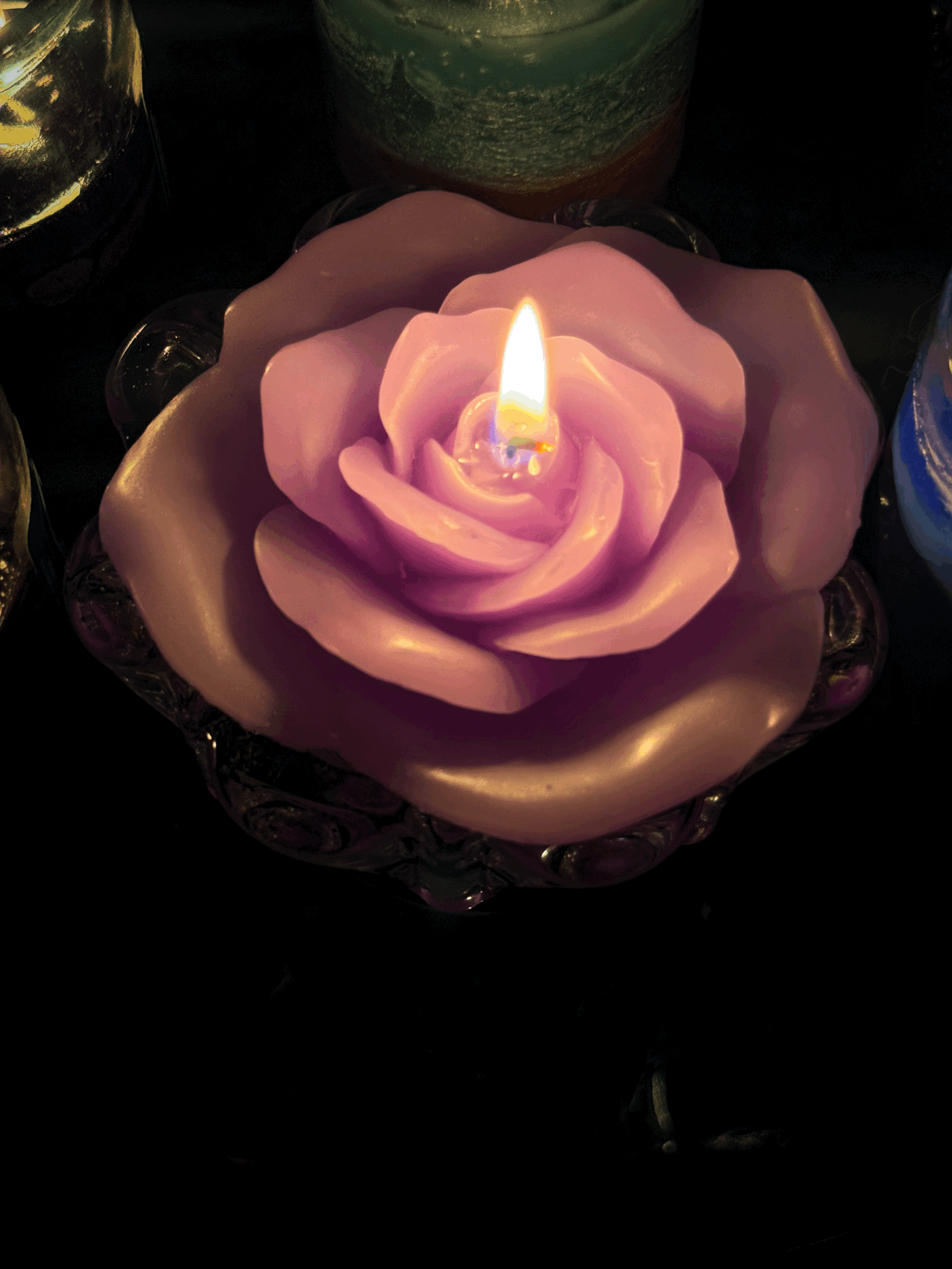 tempImageiZPEhr.gif