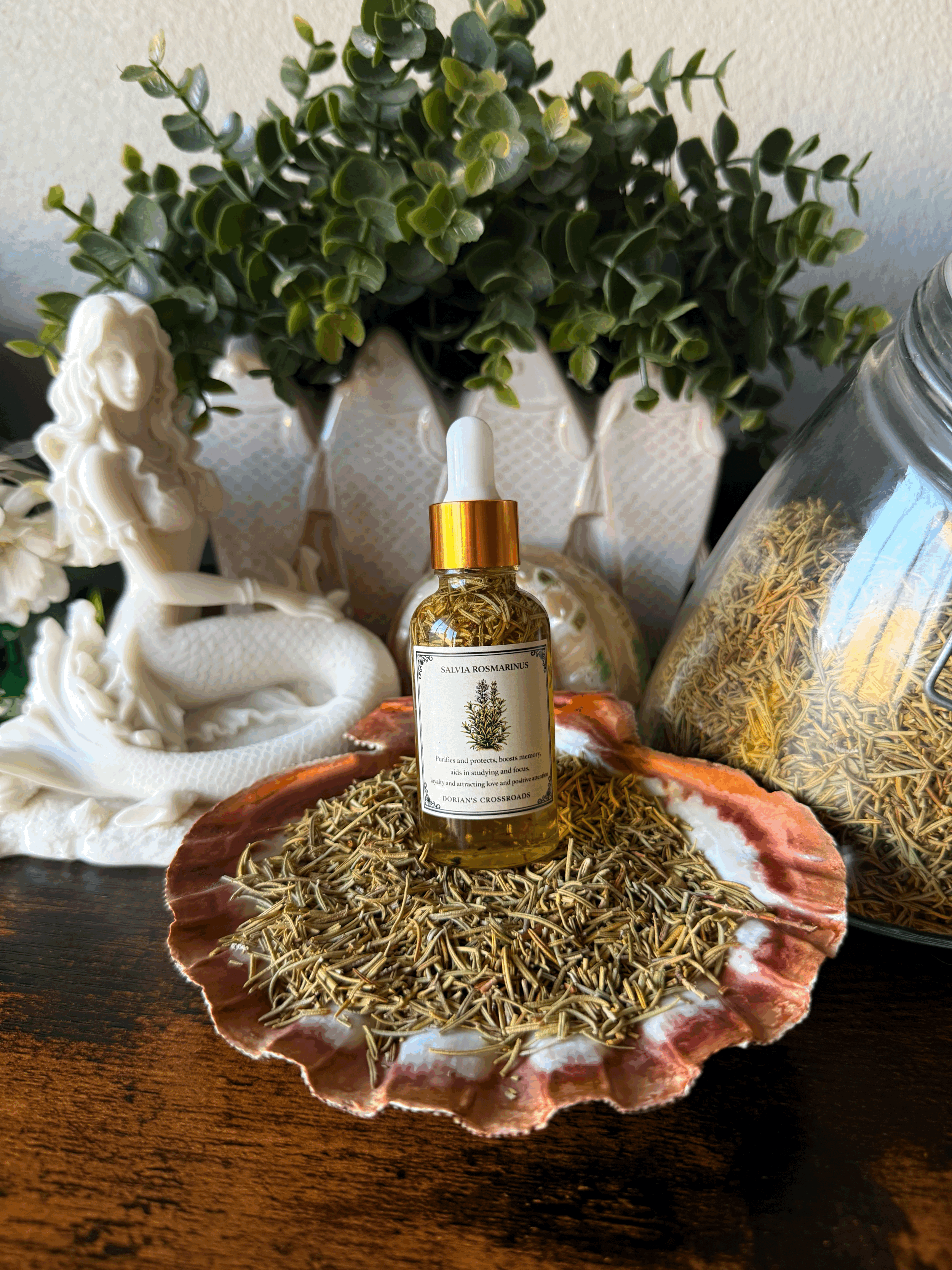 SALVIA ROSMARINUS (Rosemary)