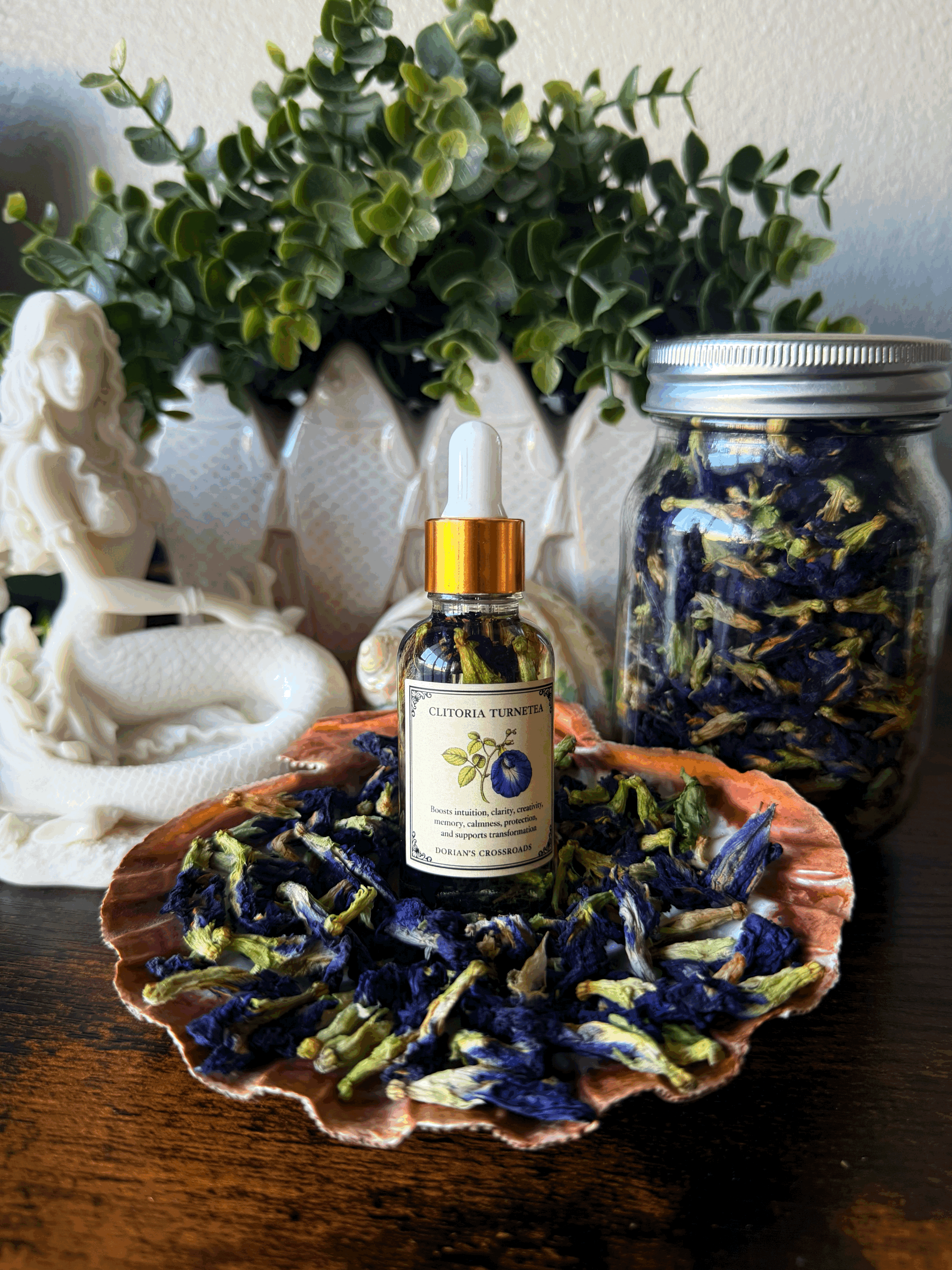 CLITORIA TERNATEA (Butterfly Pea Flower)