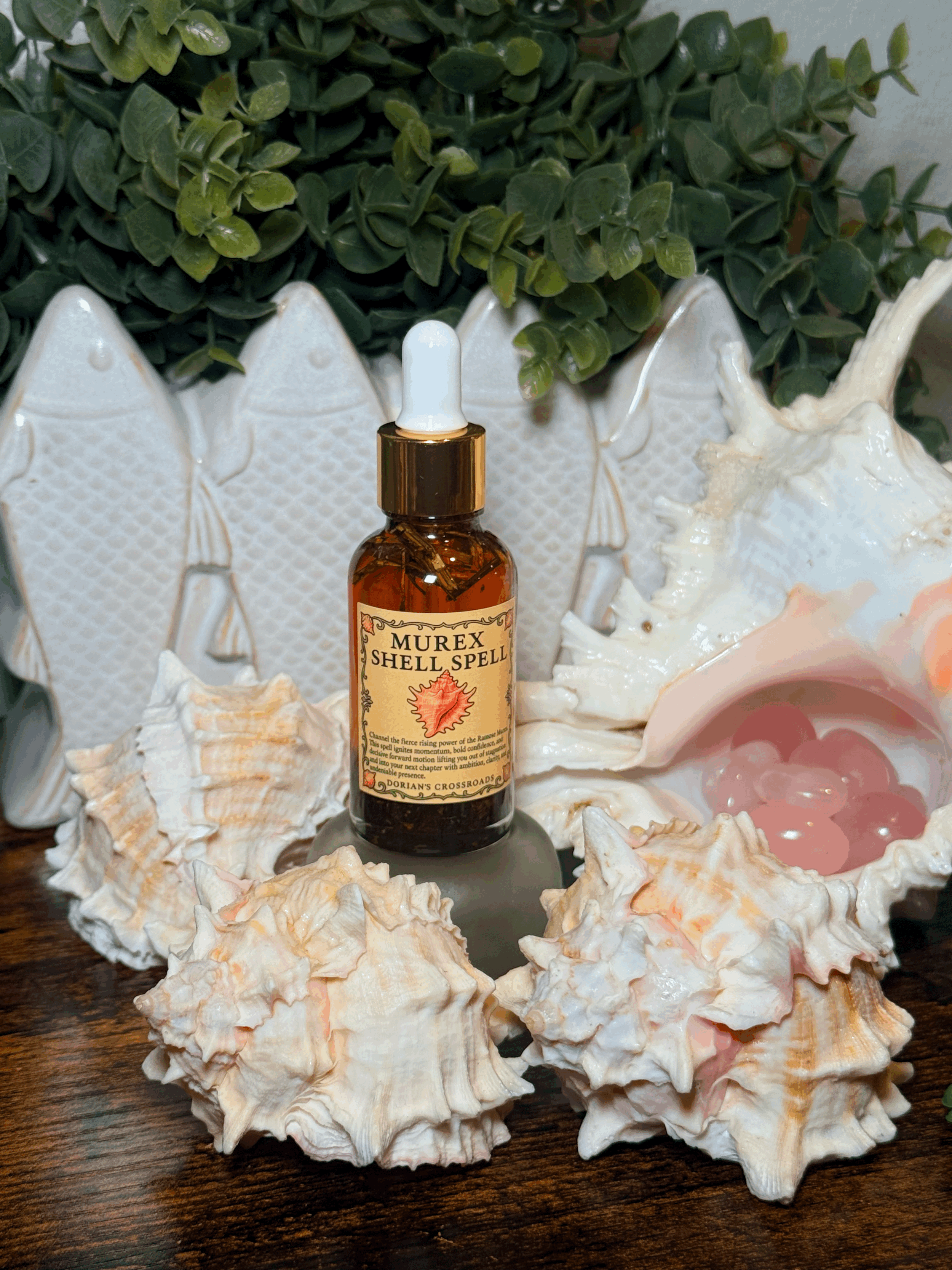 Murex Shell Spell - Ritual Oil