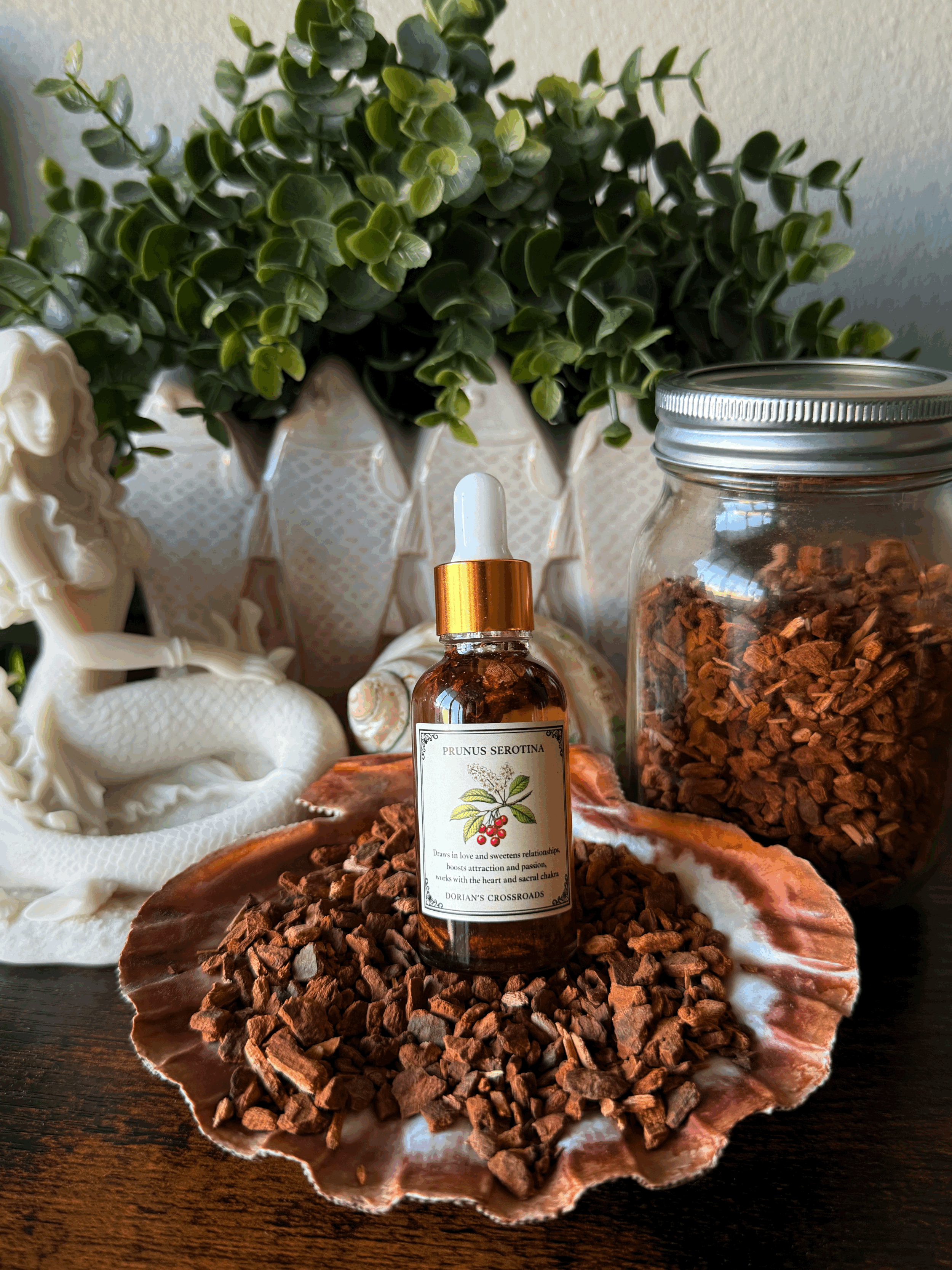 PRUNUS SEROTINA (Wild Cherry Bark)