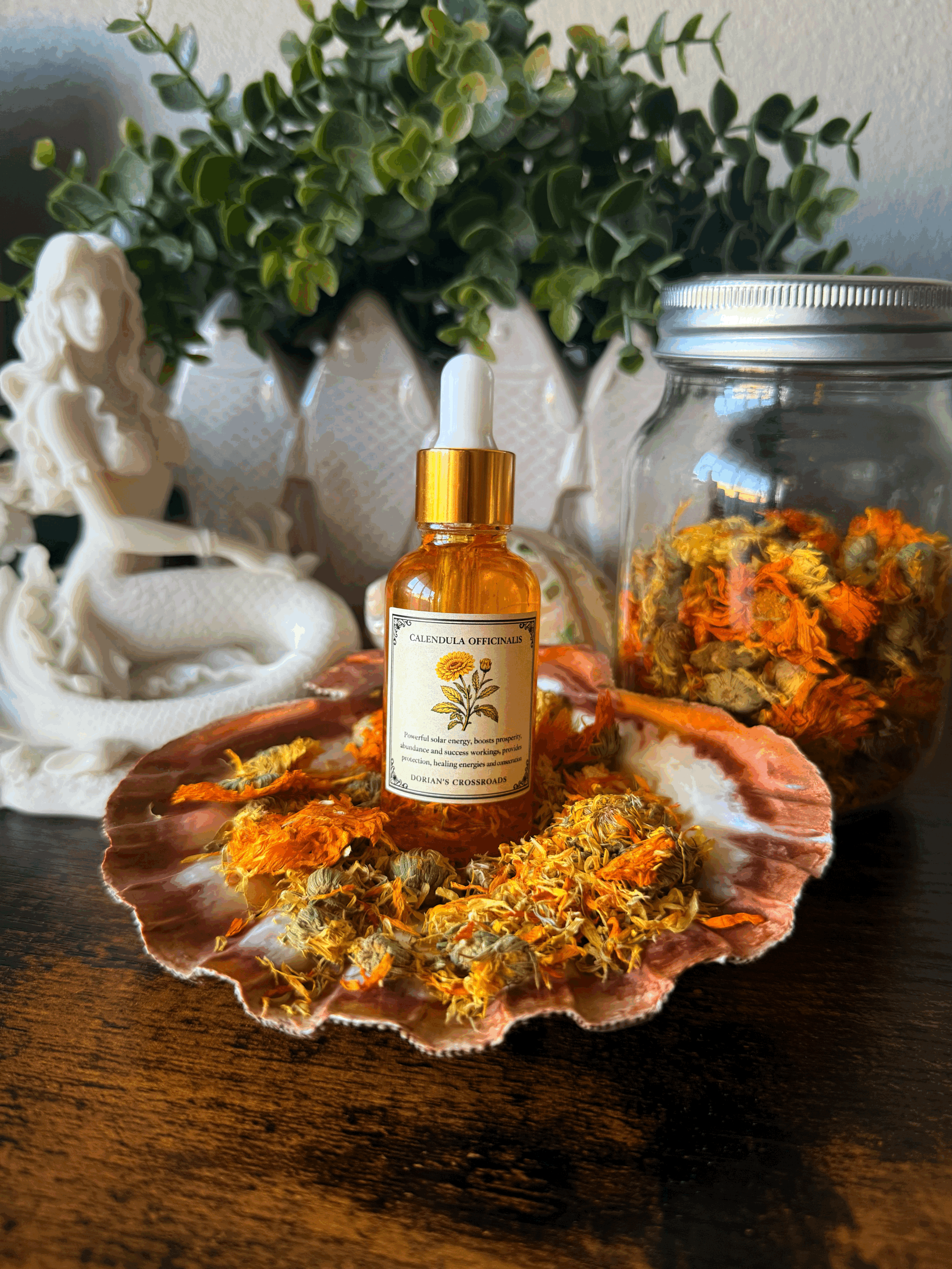 CALENDULA OFFICINALIS (Calendula)